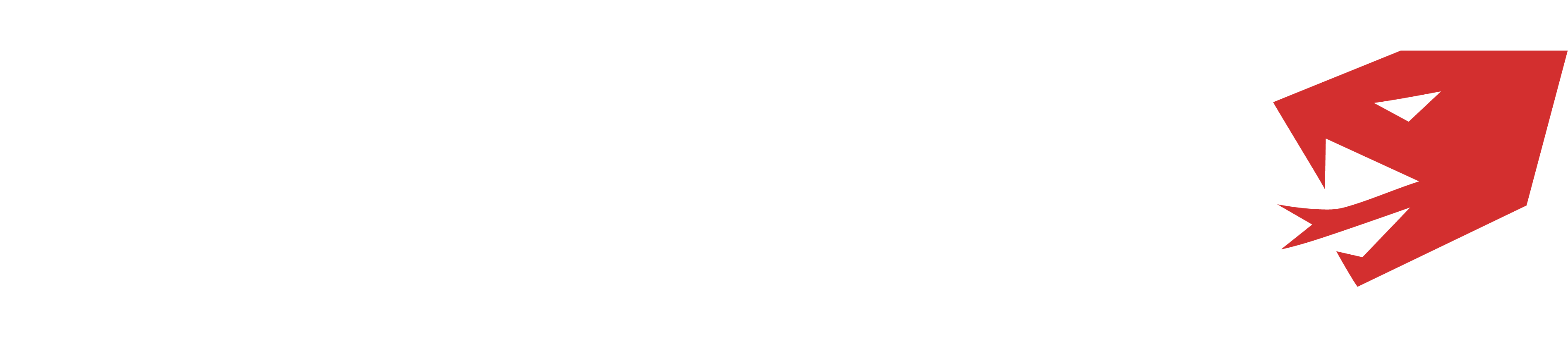 HIPERSPEC logo
